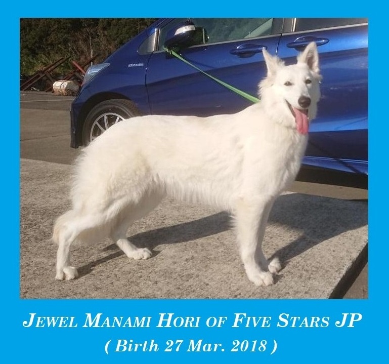 Jewel Manami HORI of Five Stars JP